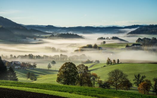 Apartment with Subunits