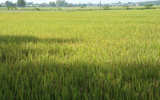 Apartment with Subunits