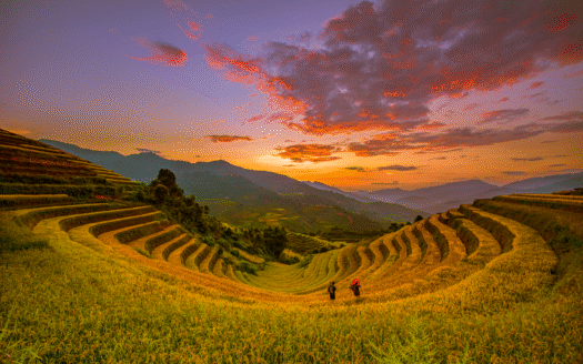 Property Multi Image Slider